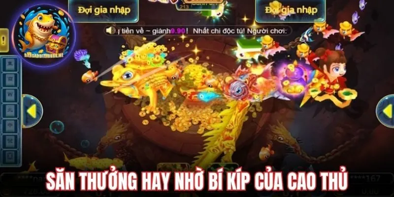 Săn thưởng hay nhờ bí kíp của cao thủ