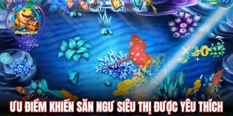 Ưu điểm lớn khiến săn ngư siêu thị được yêu thích